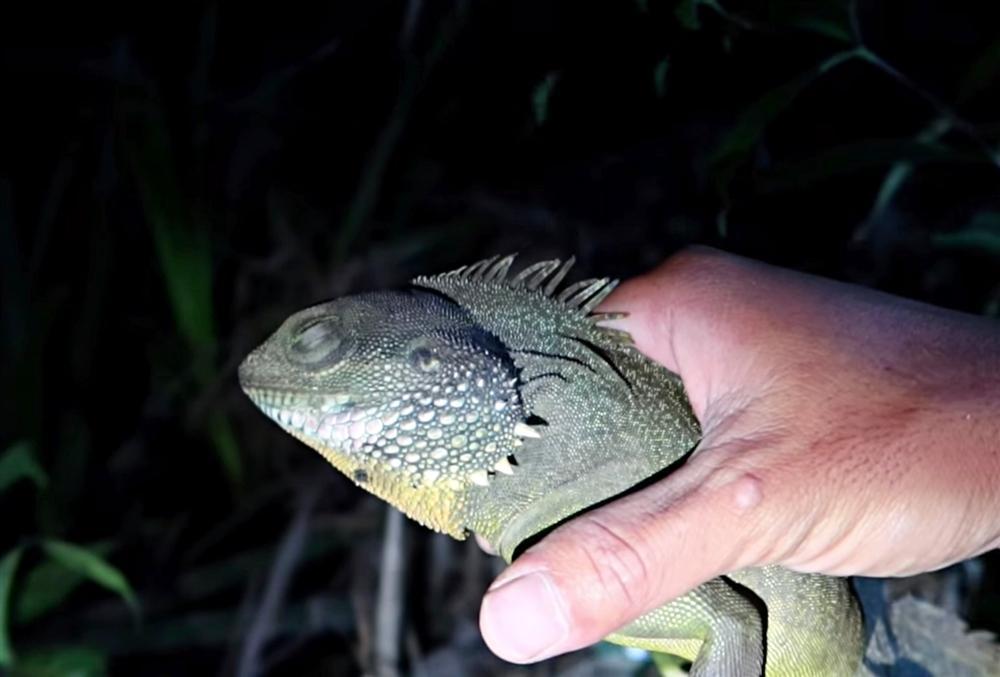 YouTuber nghèo nhất Việt Nam phạm lỗi nghiêm trọng vì làm clip cấm, nguy cơ bị xóa sổ kênh-3