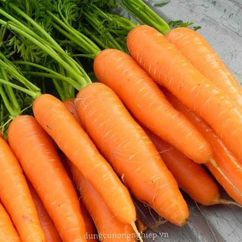 Chọn loại rau thích ăn nhất để biết khi yêu bạn là người chân thành hay ích kỷ-10