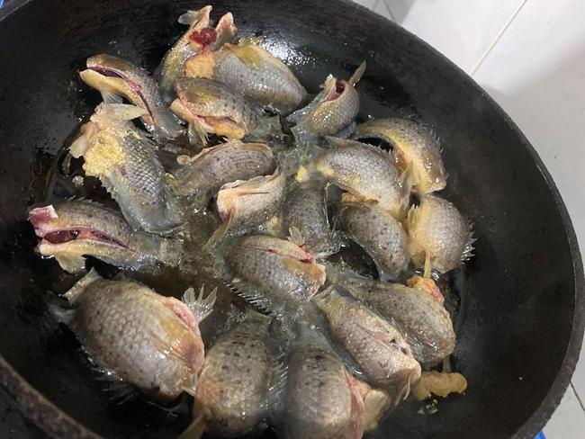 Lên mạng hỏi mẹo rán cá không bị cong, cô gái nhận những lời tư vấn cười sái quai hàm-2