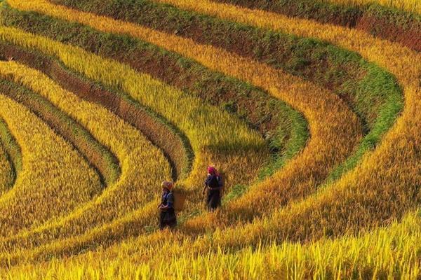 Người Ấn Độ chụp tòa chung cư ở Hà Nội ngập sắc đỏ giữa mùa dịch-3