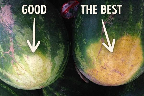 Chọn dưa lưới, nhìn vào vỏ thấy điều này rõ ràng là quả già ngon đừng bỏ qua-4