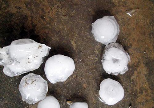 Khủng khiếp mưa đá to 7cm, có viên hình Covid-19 rơi vỡ đầu, tàn phá nhiều vùng phía Bắc-1