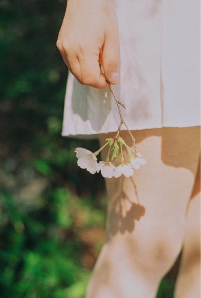 Tử vi thứ 7 ngày 25/4/2020 của 12 con giáp: Tuất mọi sự hanh thông, Ngọ cẩn thận lời nói-1