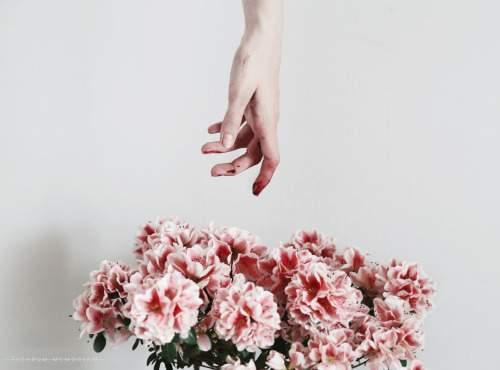 Tử vi Chủ nhật ngày 26/4/2020 của 12 con giáp: Dần quý nhân chỉ lối, Hợi tiêu cực đủ đường-5