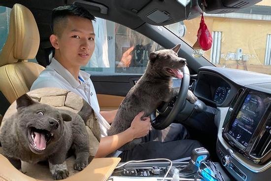 Lộ diện 'con sen' của chú chó Nguyễn Văn Dúi: Đã đẹp trai lại còn siêu giàu