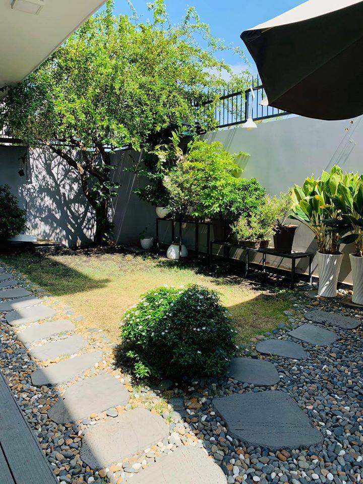 Cuộc sống đời thường giản dị của Ốc Thanh Vân-8