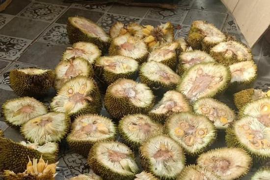 Bức ảnh bổ 40 quả mít như một khiến dân mạng bối rối, không hiểu vì sao quả nào cũng xơ chi chít giống nhau