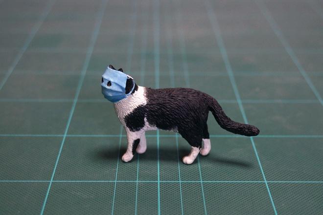 Chú mèo đeo khẩu trang được làm thành tượng-3