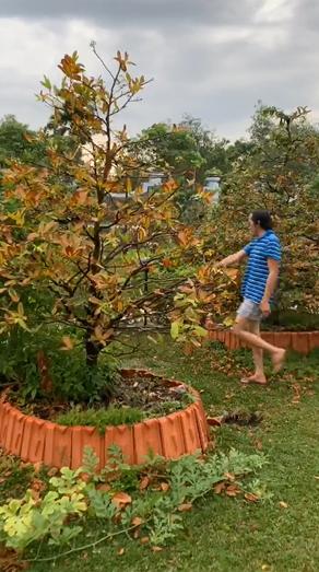 Cuộc sống tách biệt của NSƯT Hoài Linh tại nhà thờ Tổ trong những ngày dịch bệnh-2