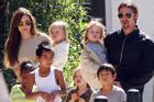 Brad Pitt không chịu nổi phải ly hôn vì Angelina Jolie tiếp tục nhận nuôi người con thứ 7?