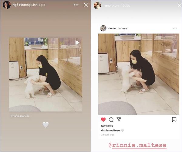 Mối quan hệ giữa Phillip Nguyễn và Linh Rin sau 15 ngày dính nghi án đường ai nấy bước-2