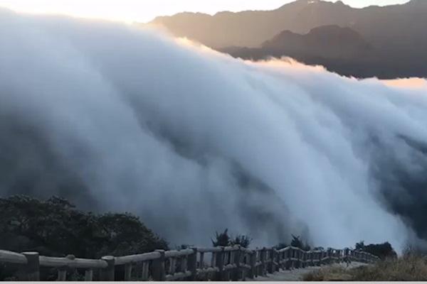 Đà Lạt đông khách trở lại sau những ngày giãn cách xã hội-1