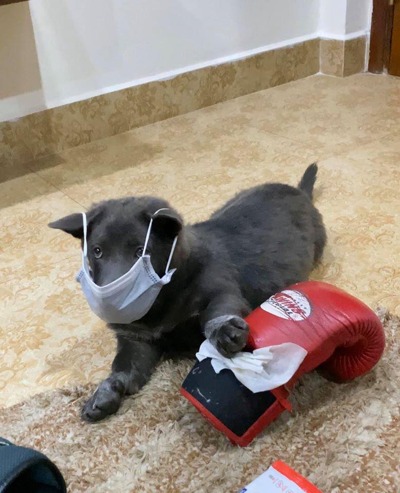 Idol Nguyễn Văn Dúi đeo khẩu trang phòng dịch, nhưng nhìn kĩ có gì đó sai sai: Tối lại bị ngủ ngoài sân rồi boss ơi-5