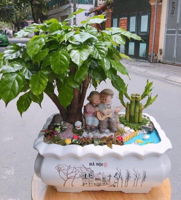 Cây hạnh phúc giúp tăng vận khí, người mệnh Kim nhất định phải có trong nhà-3