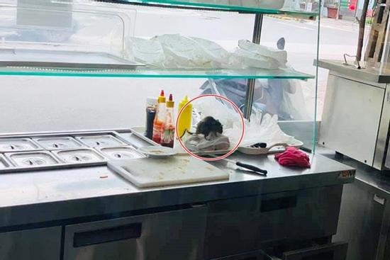 Khách hàng tái mặt nhìn chú chuột chễm chệ trên kệ làm bánh mì trong cửa hàng ở Hà Nội