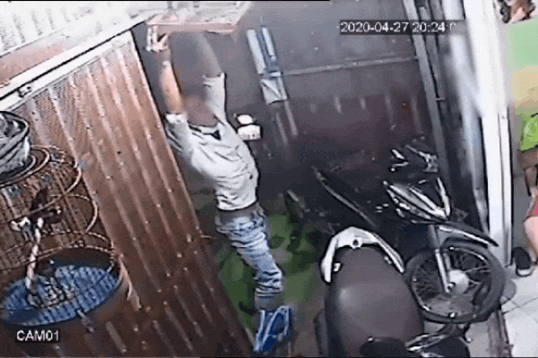 Vụ trộm chim oái oăm: Tên trộm đứng loay hoay giật lồng, chủ nhà ngồi cách 1m để canh vẫn không biết-1