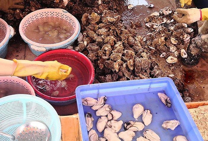 Khi rửa hàu, đừng chỉ dùng bột mì, thêm một nguyên liệu nữa đảm bảo sạch bong không vết bẩn-1