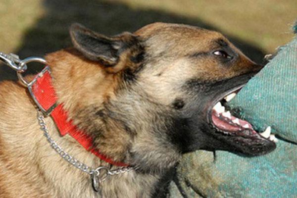 Thực nghiệm điều tra vụ án bé gái 4 tuổi bị nhân tình của mẹ đánh tử vong-2