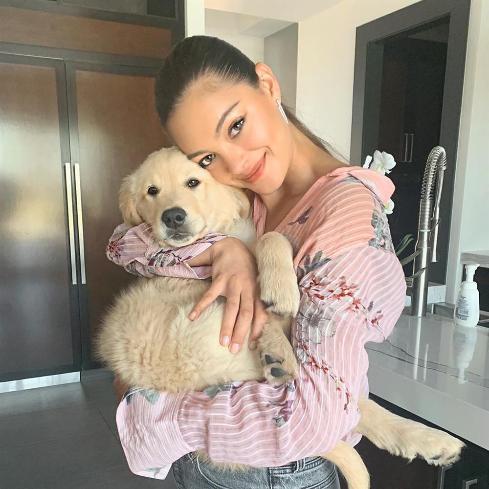 Bản tin Hoa hậu Hoàn vũ 29/4: Hoàng Thùy cất công mặc đẹp, tiếc là chẳng chặt chém được ai-4