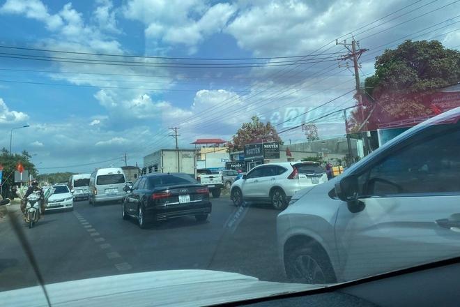 Du khách bẻ phượng tím Đà Lạt gây bức xúc-2