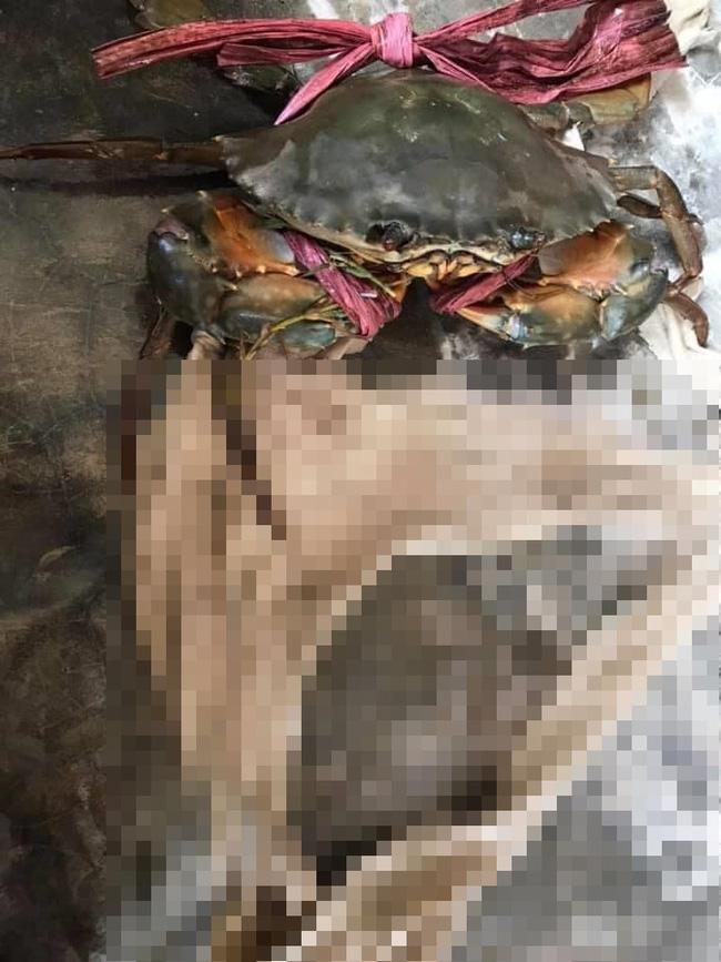 Tốn không ít tiền mua cua biển, anh chàng lại cạch không ăn khi mục sở thị chiếc dây buộc kinh dị-2