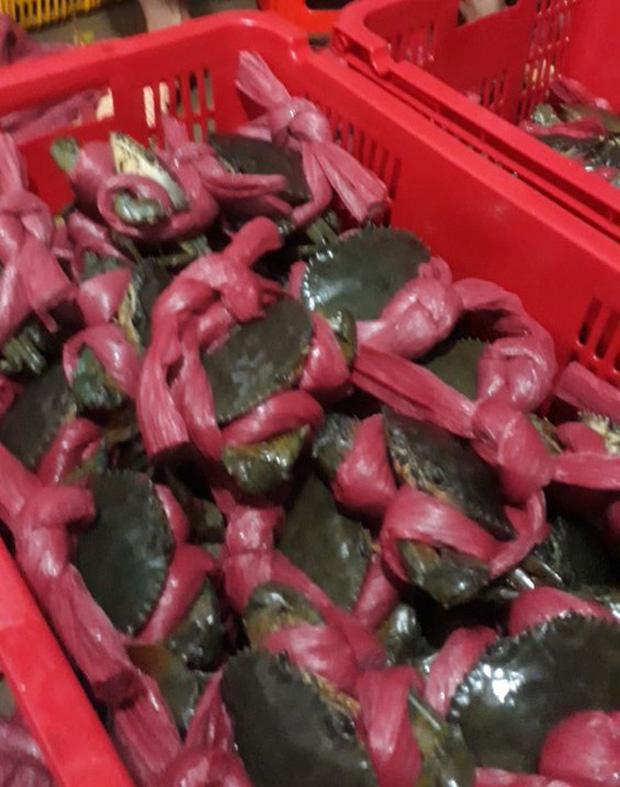 Tốn không ít tiền mua cua biển, anh chàng lại cạch không ăn khi mục sở thị chiếc dây buộc kinh dị-3