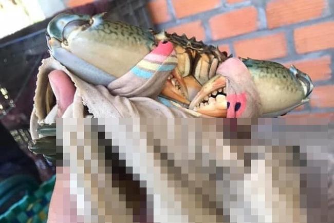 Cô gái mừng rơi nước mắt khi nhận đồ tiếp tế của phụ huynh: Từ củ hành, quả ớt... mẹ gửi lên chẳng thiếu thứ gì!-2