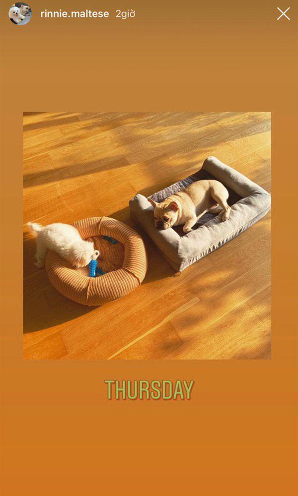 Không cần đồn đoán thêm, Linh Rin - Phillip Nguyễn chính thức yêu lại từ đầu-4