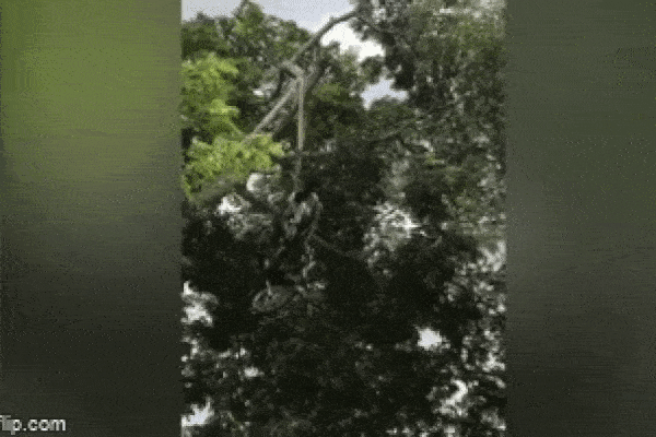 Clip: Nam thanh niên vận công đẩy đổ tưởng và bất ngờ sau lưng khiến anh ta đau đớn-2