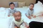 Ảnh thơ ấu của Daehan - Minguk - Manse khiến dân mạng 'phát cuồng' vì quá đáng yêu