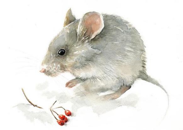 Top 4 con giáp luôn thoải mái làm việc dù môi trường xung quanh ồn ào và khó chịu-5