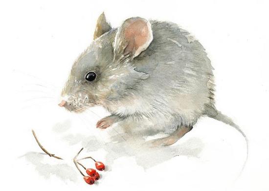 4 con giáp dù đối mặt với khó khăn thế nào cũng luôn mỉm cười, tự tin vượt qua tất cả