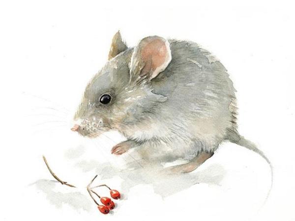 4 con giáp dù đối mặt với khó khăn thế nào cũng luôn mỉm cười, tự tin vượt qua tất cả-1