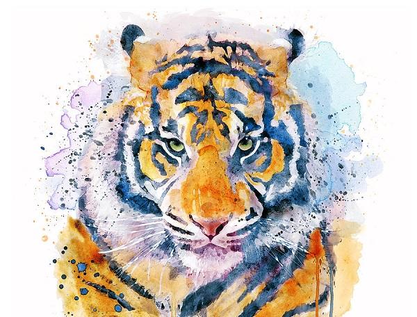 4 con giáp dù đối mặt với khó khăn thế nào cũng luôn mỉm cười, tự tin vượt qua tất cả-2