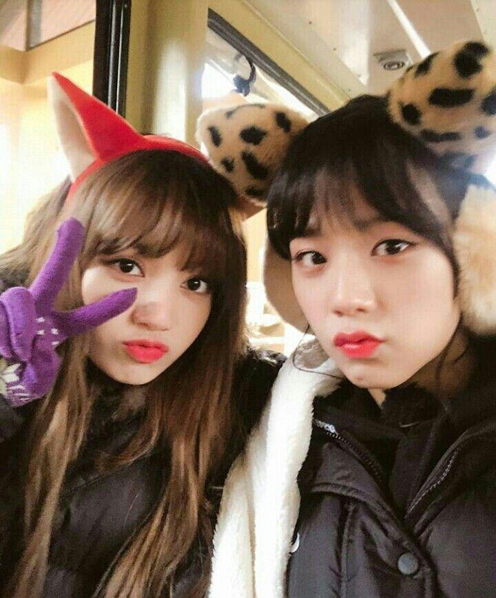 BLACKPINK Jisoo gây tranh cãi khi đặt tên Lisa trong điện thoại là chết đi-5