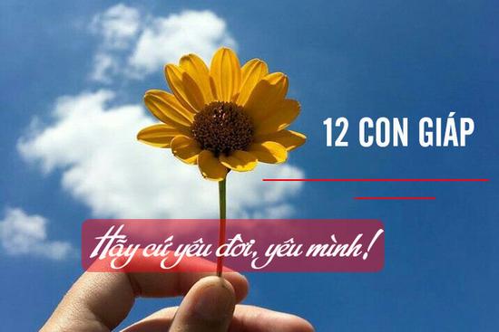 Tử vi tuần mới của 12 con giáp từ ngày 4/5 đến 10/5/2020: Thân được trao cơ hội, Hợi tình cảm rạn nứt