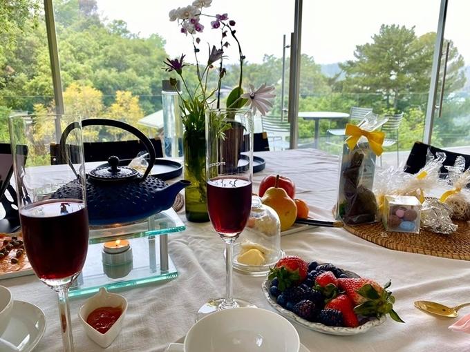 Biệt thự ở Mỹ của ca sĩ Hồng Nhung-2