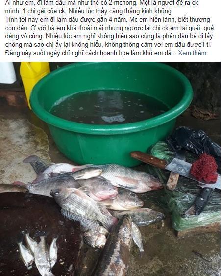 Chị chồng tỏ thái độ khi em dâu xin cá mang lên, mẹ chồng chỉ thẳng tay nói con gái làm chị tái mặt-1