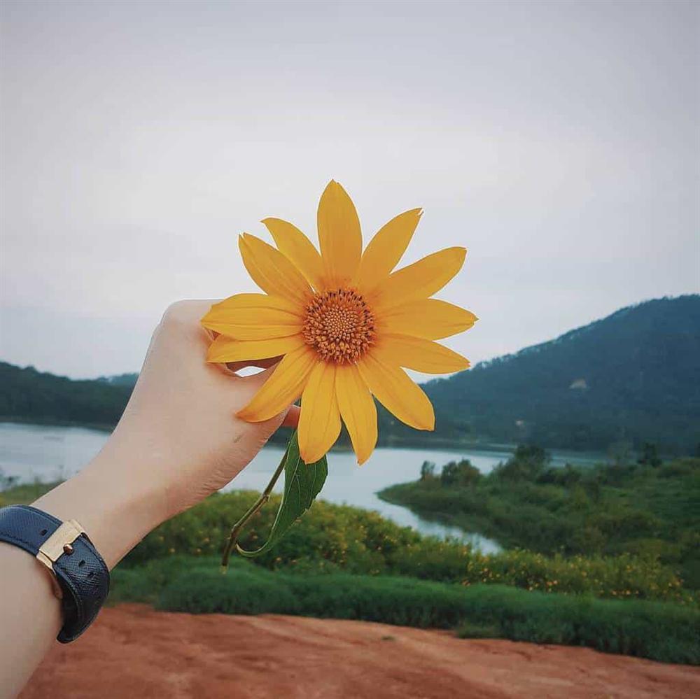 Tử vi thứ Ba ngày 5/5/2020 của 12 con giáp: Hợi thị phi đủ đường, Tý tình duyên khởi sắc-1