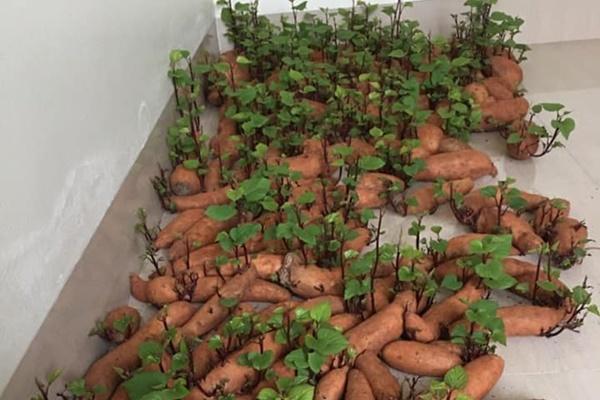 Thanh niên liều mình nhờ dân mạng photoshop giảm 10kg và cái kết cười quặn ruột-9