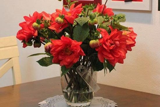 5 loại cây, hoa chớ nên đặt trong nhà