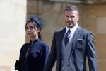 Vợ chồng Beckham nổi tiếng vẫn không cứu nổi công ty thời trang-5