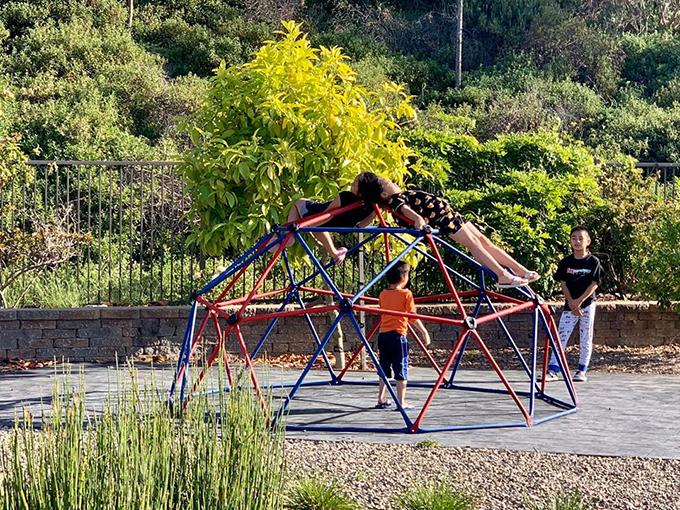 Khu vườn như công viên trong nhà Diệu Hương ở Mỹ-3