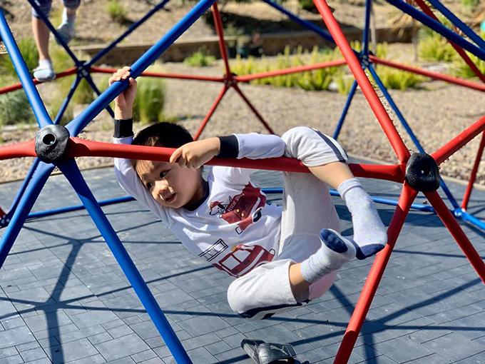 Khu vườn như công viên trong nhà Diệu Hương ở Mỹ-4