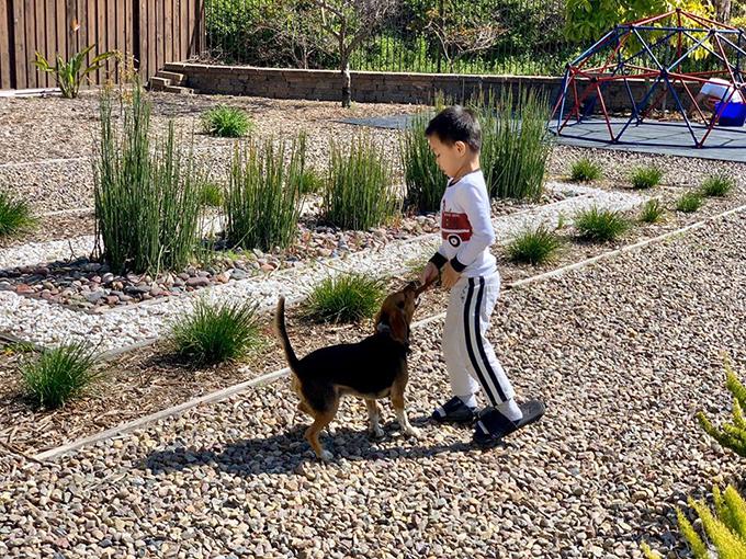 Khu vườn như công viên trong nhà Diệu Hương ở Mỹ-5