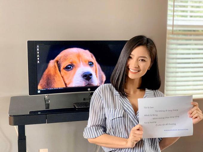 Khu vườn như công viên trong nhà Diệu Hương ở Mỹ-12