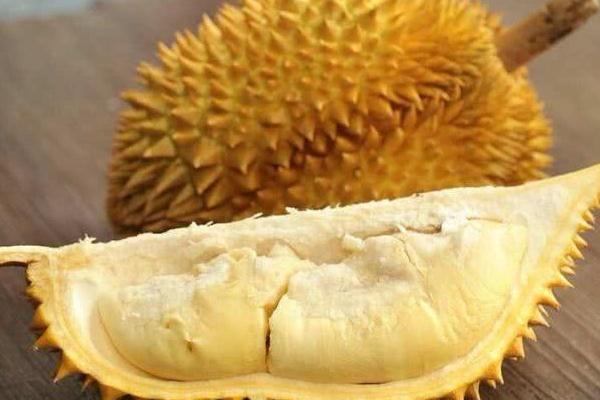 Người đàn ông nhúng thuốc cho sầu riêng và bí mật hé lộ khiến dân mạng tranh cãi-2