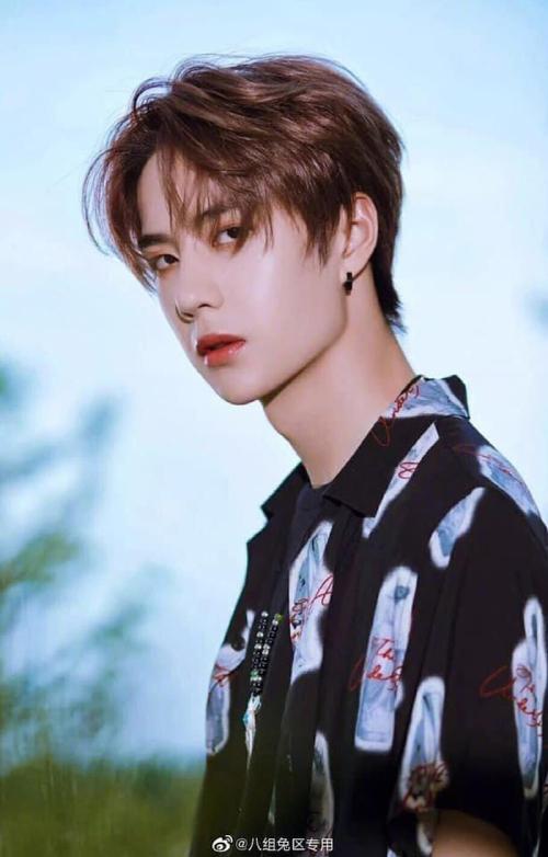 Vương Nhất Bác, Mạnh Mỹ Kỳ và loạt thần tượng vô danh thất bại ở Hàn phải quay về Trung Quốc-2