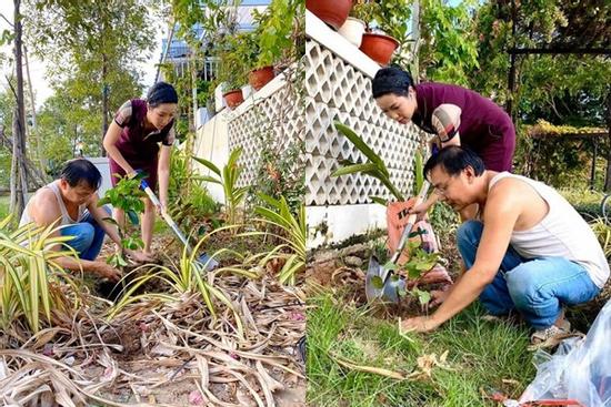 Giàu có hàng đầu showbiz Việt nhưng vợ chồng Trịnh Kim Chi cũng đích thân cuốc đất, trồng cây