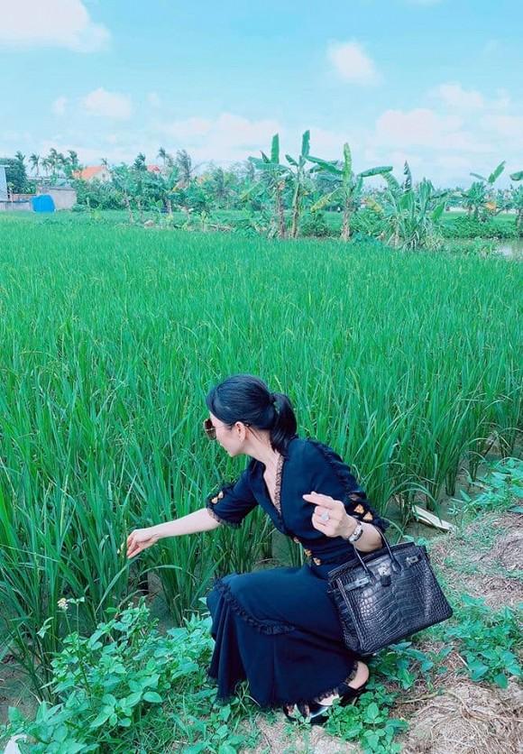 Lệ Quyên tạo dáng độc với túi hiệu 1,8 tỷ bên đống rơm, ruộng lúa-3